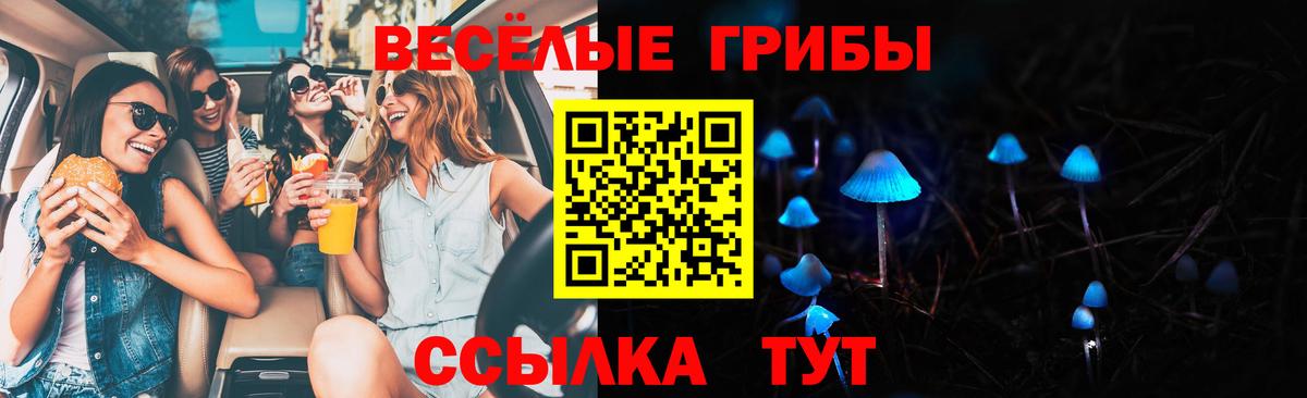 Троицк  Галлюциногенные грибы мицелий  Галлюциногенные грибы ЛСД  Вход с VPN 